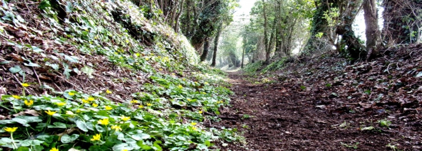 BIODIVERSITÉ